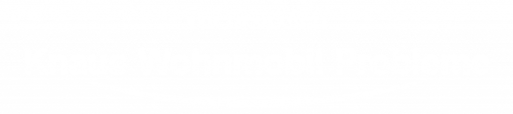 Knaus Wohnmobil Probleme - Wir berichten